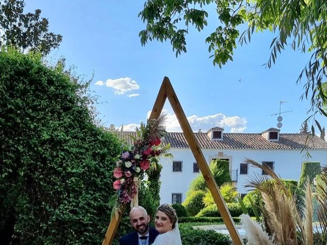 La boda de David y Elena  en Ciudad Real, Ciudad Real 5