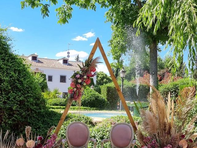 La boda de David y Elena  en Ciudad Real, Ciudad Real 19