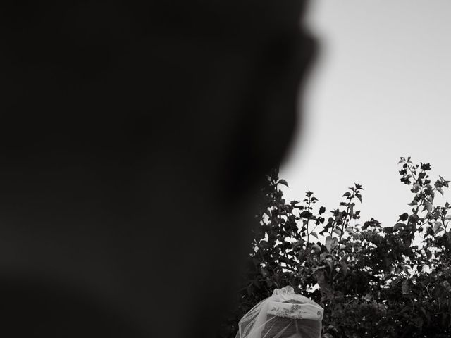 La boda de Christopher y Marina en Jerez De La Frontera, Cádiz 26