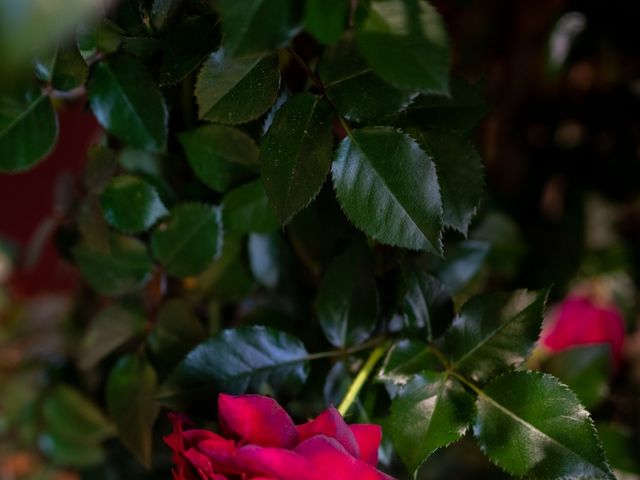 La boda de Florín y Yana en Gorraiz, Navarra 50