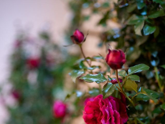 La boda de Florín y Yana en Gorraiz, Navarra 53