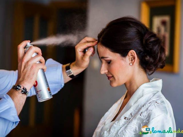 La boda de Daniel y Silvia en Málaga, Málaga 5