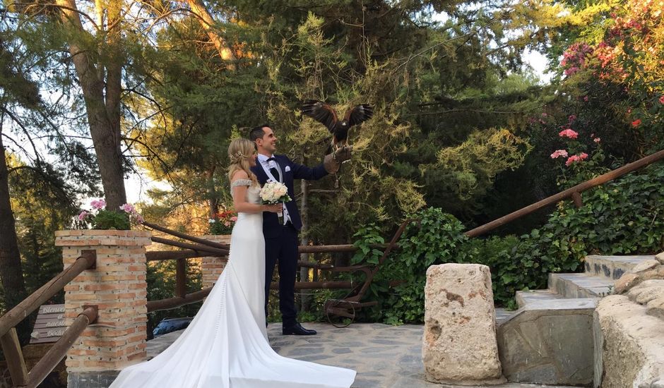 La boda de Alex y Sara en Chinchon, Madrid