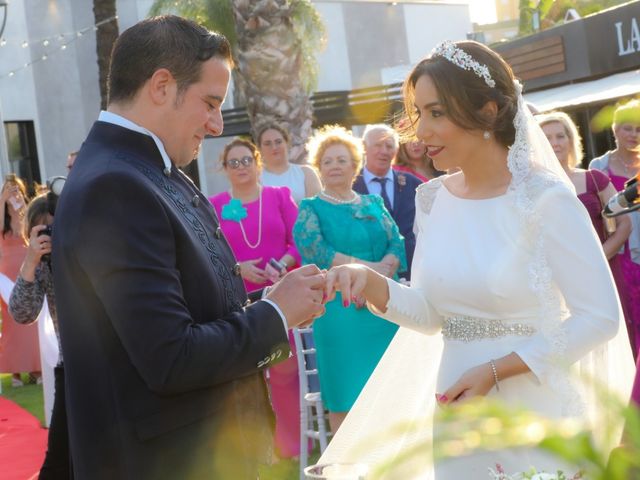 La boda de Paco y Rocío en Jerez De La Frontera, Cádiz 16