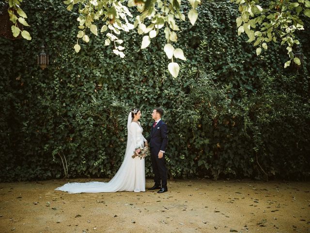 La boda de Manuel y Pastora en Alcala De Guadaira, Sevilla 49