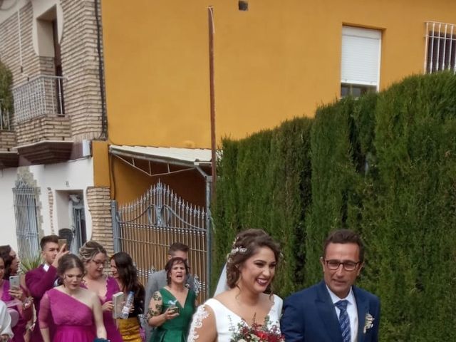 La boda de antonio y sara  en Fuente Palmera, Córdoba 4