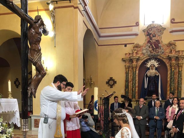 La boda de antonio y sara  en Fuente Palmera, Córdoba 8
