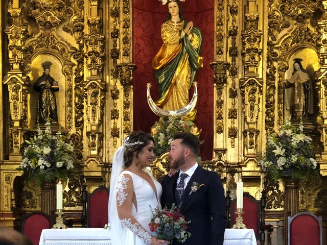 La boda de antonio y sara  en Fuente Palmera, Córdoba 11