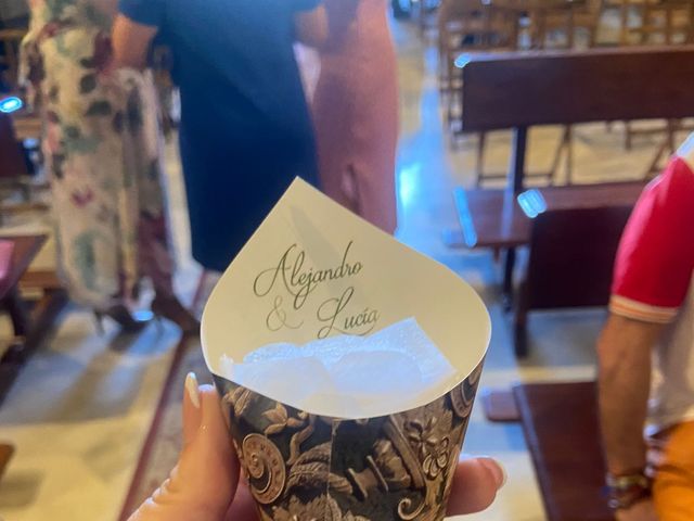 La boda de Alejandro y Lucía en Sevilla, Sevilla 8