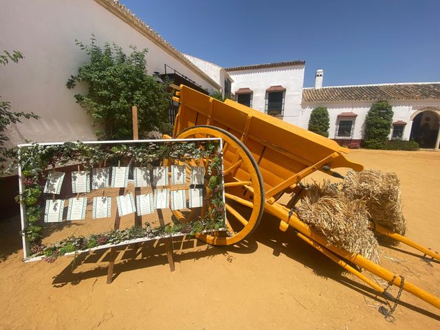 La boda de Alejandro y Lucía en Sevilla, Sevilla 9