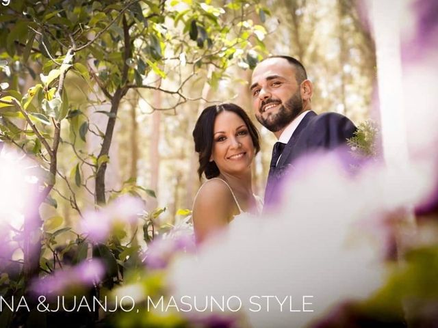 La boda de Ana y Juanjo en Sax, Alicante 1