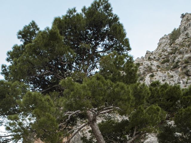 La boda de Manuel y Carolina en Palma De Mallorca, Islas Baleares 52