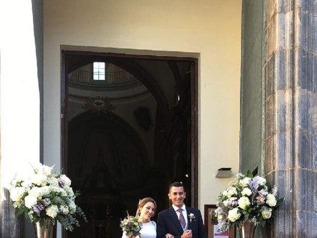 La boda de David y Marka en Murcia, Murcia 5