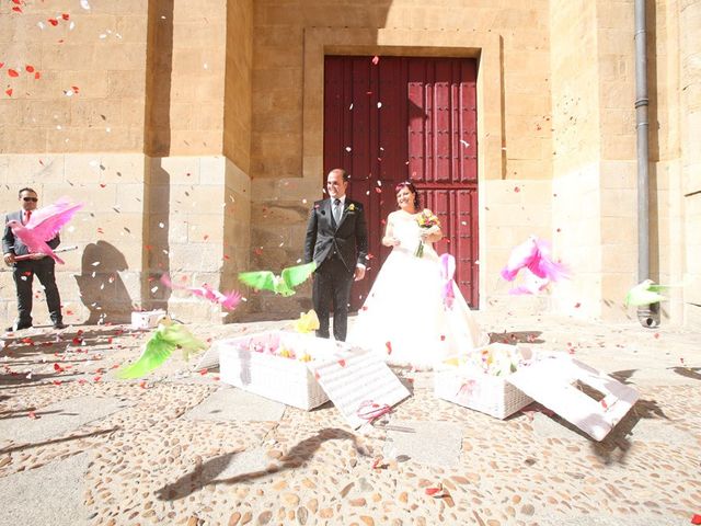 La boda de Alfredo  y María en Salamanca, Salamanca 13