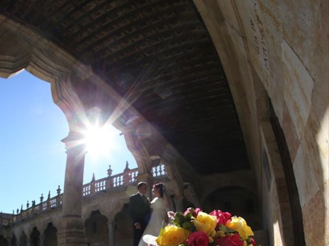 La boda de Alfredo  y María en Salamanca, Salamanca 19