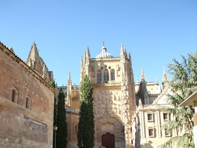 La boda de Alfredo  y María en Salamanca, Salamanca 22