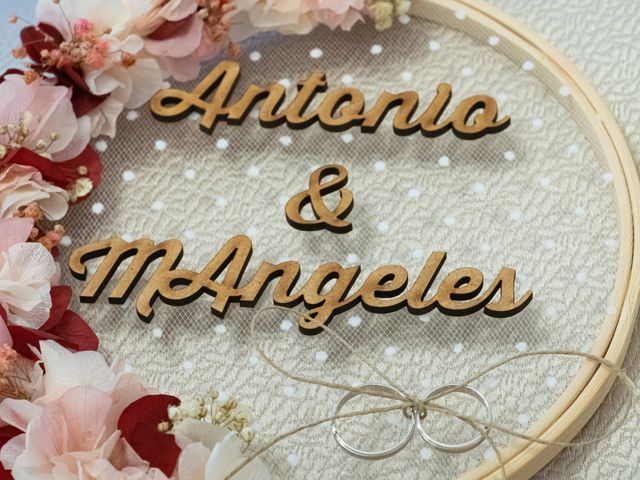La boda de Antonio y MªÁngeles en Calahonda, Granada 6