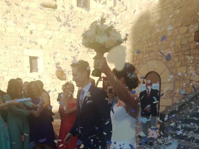 La boda de Fernando y Andrea en Siguenza, Guadalajara 6
