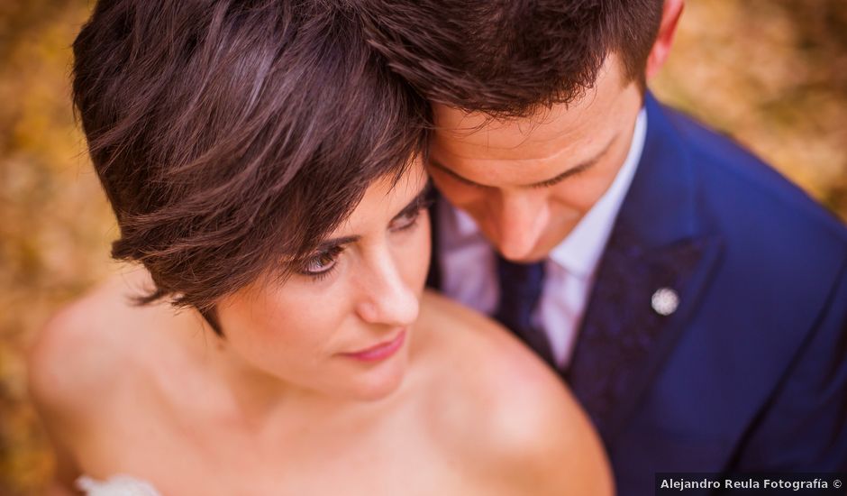 La boda de Alejandro y Teresa en Alquerias, Alicante