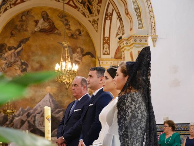 La boda de Fran y Ana en Sanlucar La Mayor, Sevilla 28