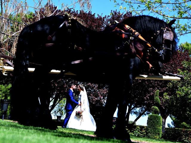 La boda de David  y Rebeca  en El Olivar, Guadalajara 15