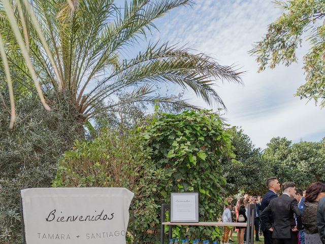 La boda de Tamara y Santiago en Elx/elche, Alicante 234