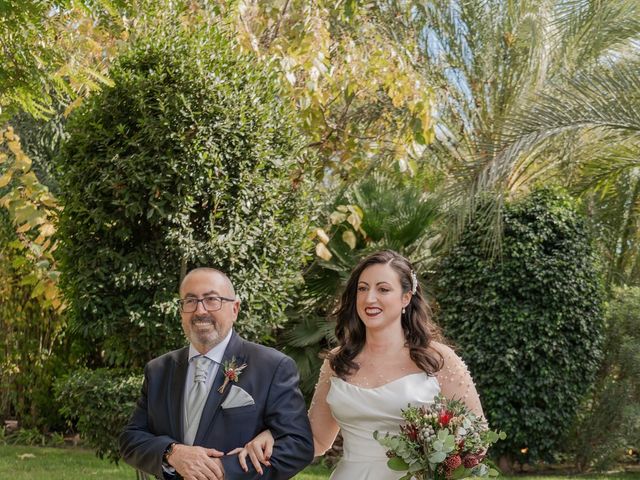 La boda de Tamara y Santiago en Elx/elche, Alicante 242