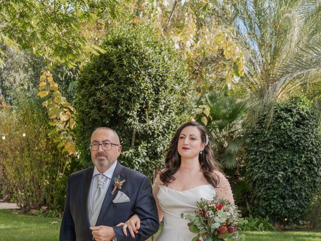 La boda de Tamara y Santiago en Elx/elche, Alicante 243