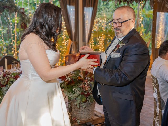 La boda de Tamara y Santiago en Elx/elche, Alicante 595