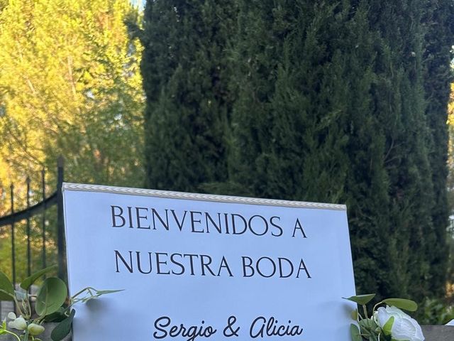 La boda de Sergio y Alicia en Valdetorres De Jarama, Madrid 3