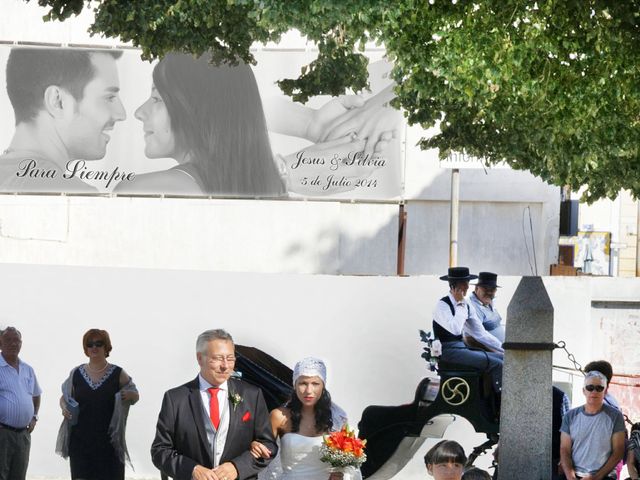 La boda de Jesus y Silvia en Illescas, Toledo 40