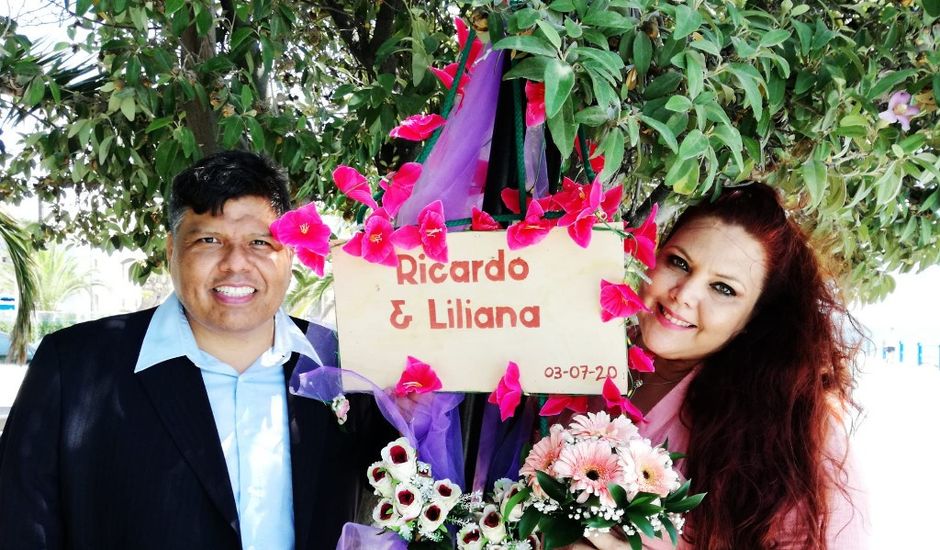 La boda de Ricardo y Liliana en Alacant/alicante, Alicante