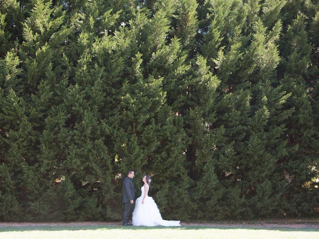 La boda de Iván y Verónica en Villasevil, Cantabria 22