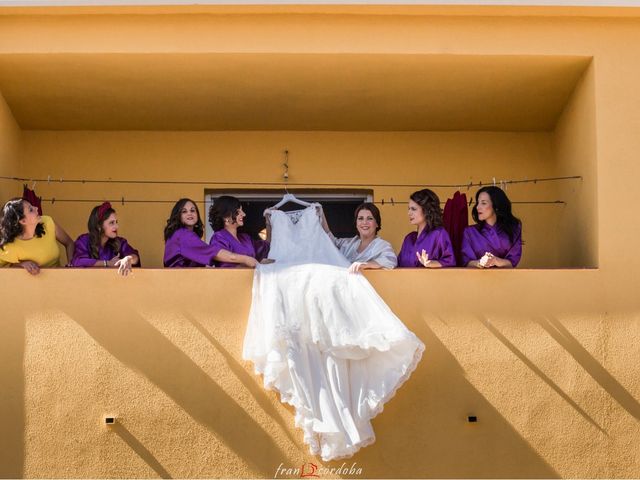 La boda de Silvia y Susana en Valdastillas, Cáceres 15