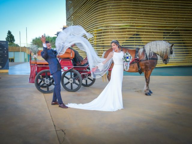 La boda de Fco Javier y Esmeralda en Villanueva De La Serena, Badajoz 3