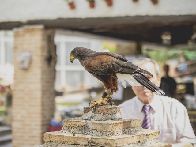La boda de Joaquim y Cristina en Chinchon, Madrid 19