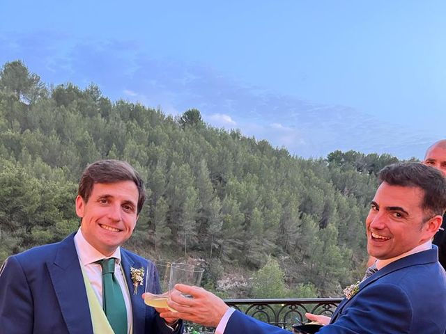 La boda de Javier Suárez y Francisco Cantero en Málaga, Málaga 11
