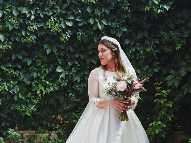 La boda de Gonzalo y Andrea en Alcazar De San Juan, Ciudad Real 6