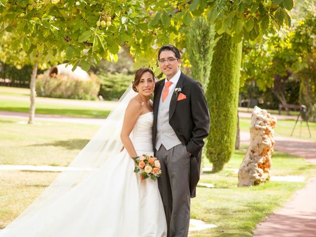 La boda de David y Vanesa en Alcalá De Henares, Madrid 9