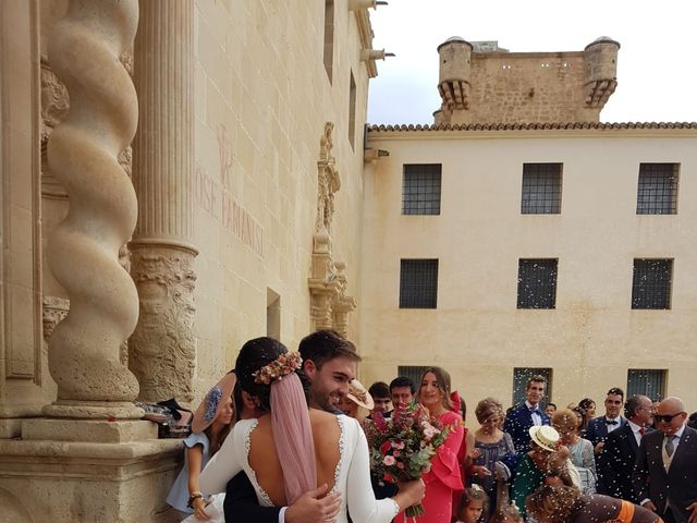 La boda de Antonio y Rocío  en Mutxamel, Alicante 9