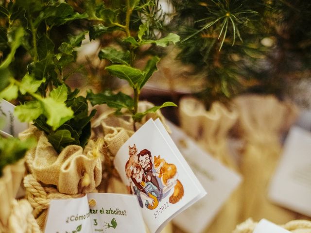 La boda de Andrés y Sandra en Posada De Llanera, Asturias 56