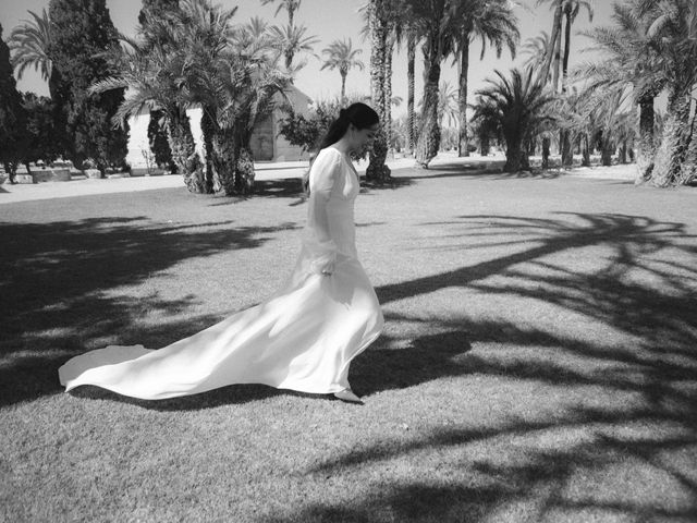 La boda de Miguel Ángel y Lucía en Elx/elche, Alicante 19