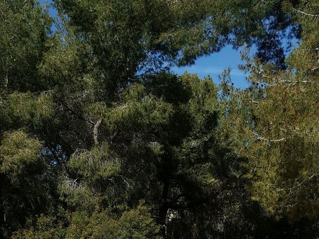 La boda de JOSE y VERO en Roda De Bara, Tarragona 19