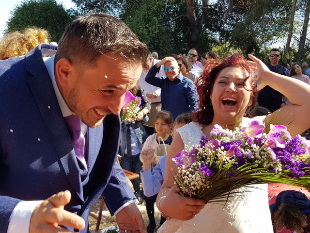 La boda de JOSE y VERO en Roda De Bara, Tarragona 36