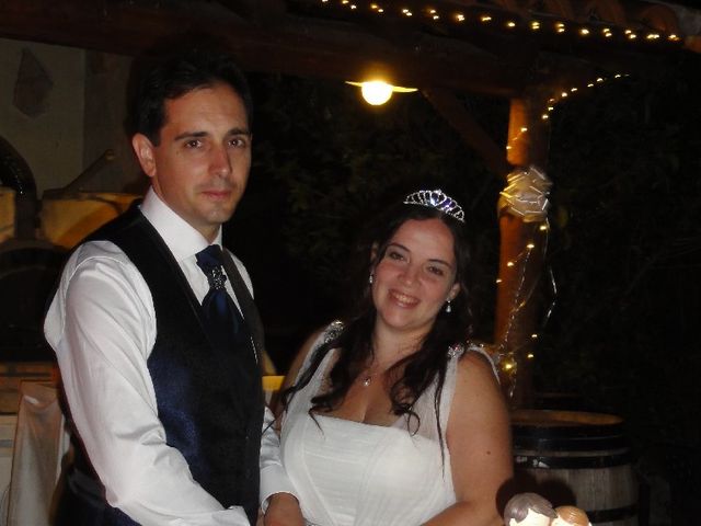 La boda de Daniel y Alexandra en Zarzuela Del Monte, Segovia 2