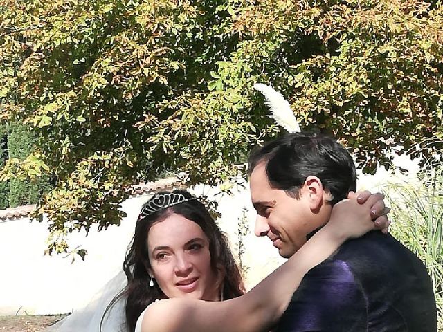 La boda de Daniel y Alexandra en Zarzuela Del Monte, Segovia 3