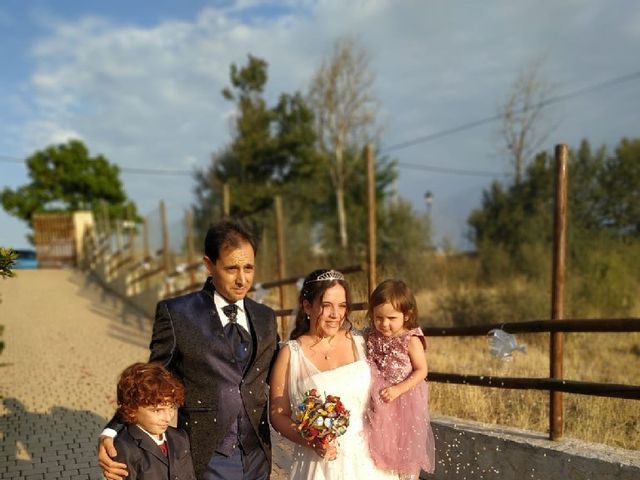 La boda de Daniel y Alexandra en Zarzuela Del Monte, Segovia 6