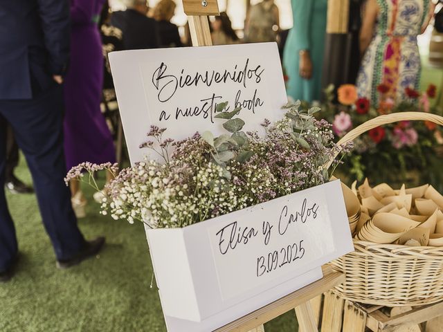 La boda de Carlos y Elisa en Chinchon, Madrid 34