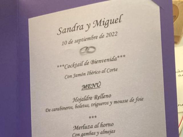 La boda de Miguel y Sandra en Valladolid, Valladolid 15