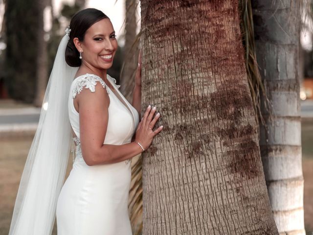 La boda de Elisabeth y Álvaro en Alcala De Guadaira, Sevilla 33